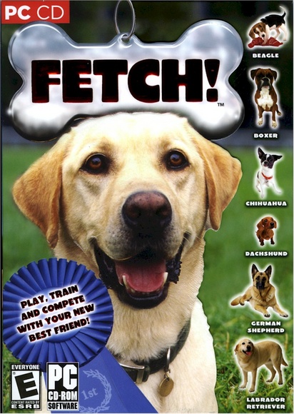 Dog Fetch Game