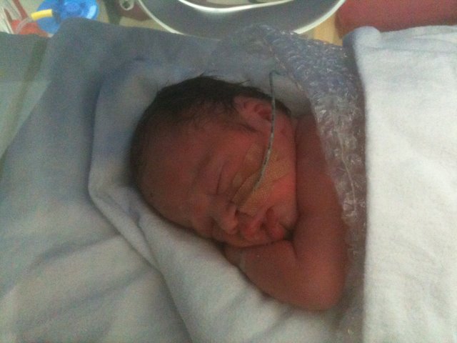 Sebastian In His Bubble Wrap and Hot Box