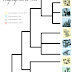 Fictional Evolutions get Phylogenetic trees