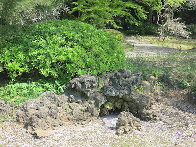 Rock, Tokyo garden