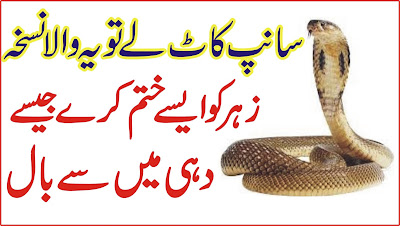 How to treat snake bite - Saanp Katne Ka Desi ilaj Snake bite treatment in urdu