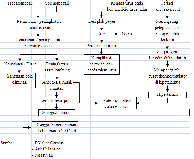 1500 ASUHAN KEPERAWATAN: Pathway /WOC Demam Typoid