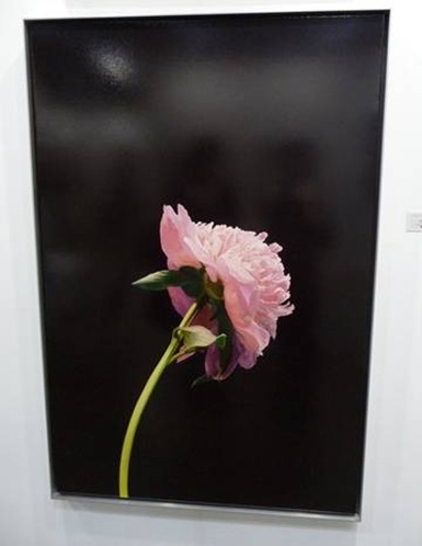 clip_image002