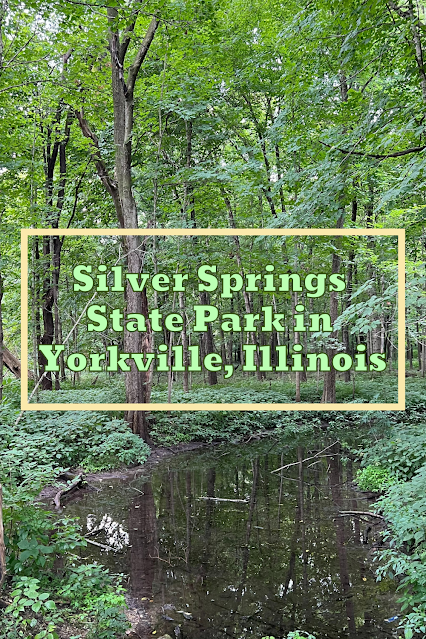 A Tranquil Natural Spring, Fox River Views and Rolling Woodlands Beguile at Silver Springs State Park in Yorkville, Illinois