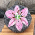 Felted Soaps.........