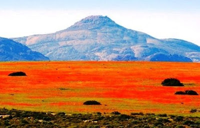 namaqualand