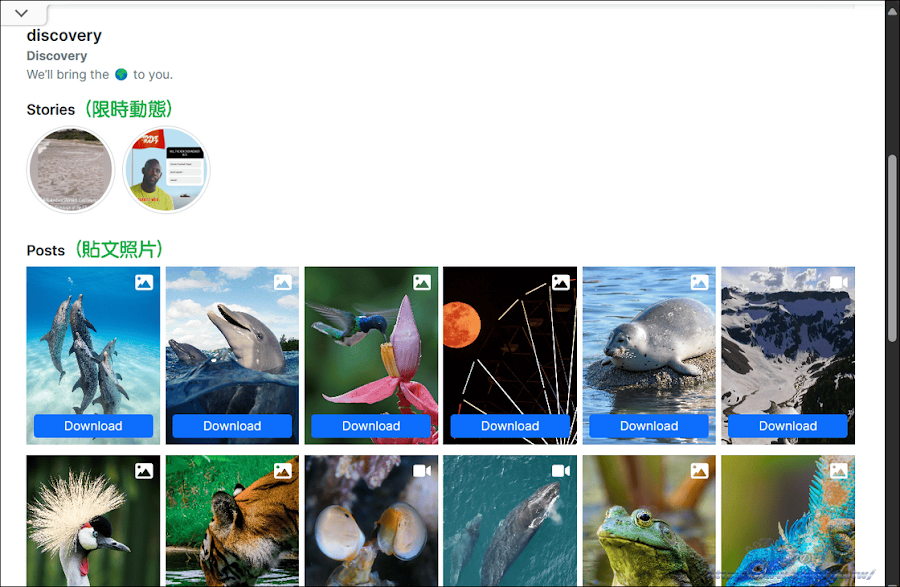 SSStory 匿名瀏覽 IG 限動和下載照片影片