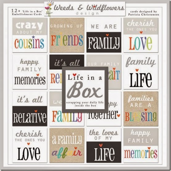 eebff1b889d0d6e7c9fc9487a08c6b7c.image.500x500