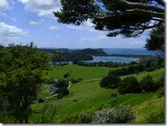 Vista