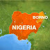 Sixty dead in suicide blasts in Nigeria