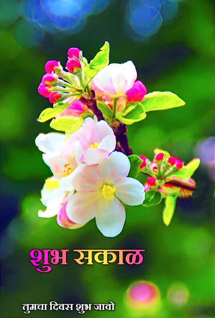 Good Morning Images Marathi HD Download