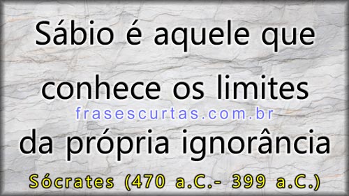 Sábio é aquele que conhece os limites da própria ignorância - Sócrates