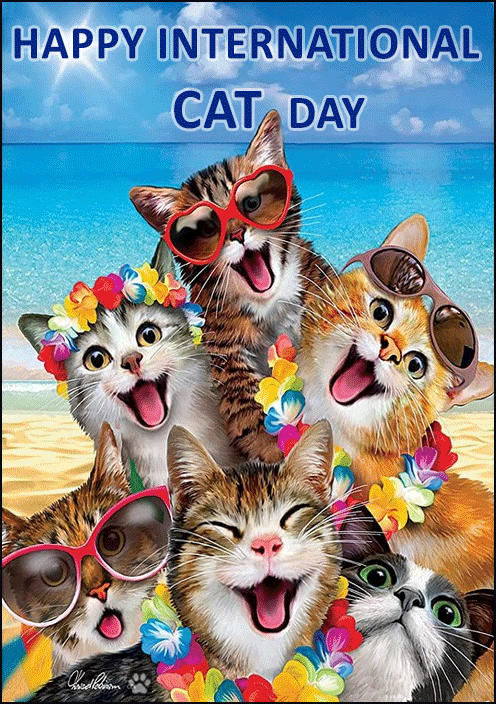 Art Cat GIF with caption • Weeeee! 6 cats are happy because it's August 8, Happy International CAT day!