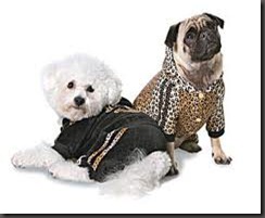 fashion dogs3 - by roberto cavalli