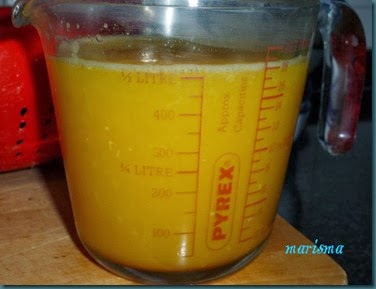 naranja en gelatina con granada2 copia