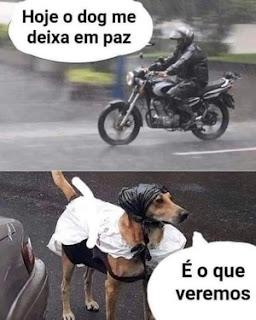 Post composto por duas fotos, uma acima da outra.  Foto superior: sob chuva forte , um motoqueiro munido de capacete, jaqueta e calça impermeáveis, dirige a moto sobre o asfalto. Ele pensa: “Hoje o dog me deixa em paz”.  Foto inferior: próximo a traseira de um carro, um cão vira-lata em pé com olhar atento. O corpinho coberto por uma capa de saco plástico branco sobre a roupinha preta e um plástico preto amarrado sobre a cabeça, pensa: “É o que veremos".  Consultoria: Átilas Oliveira