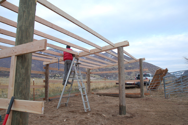 High Desert Farm Girl : DIY three sided shed for our alpacas
