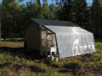 Alaska Bush Life, Off-Road, Off-Grid: Raising Meat Rabbits 