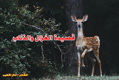 الغزال والذئاب