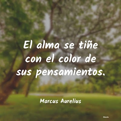 A ALMA, UM PRISMA DE PENSAMENTOS
