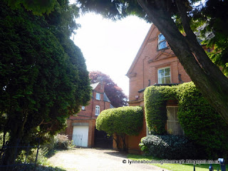 House through the trees