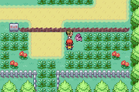 Pokemon Robust Red Screenshot 00