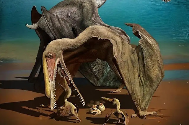 Los grandes reptiles voladores: una crianza excepcional que permitió a las crías de Pterosaurios del Cretácico convertirse en auténticos gigantes.