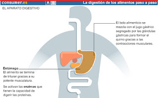 http://www.consumer.es/web/es/alimentacion/aprender_a_comer_bien/adulto_y_vejez/2003/07/14/140068.php#