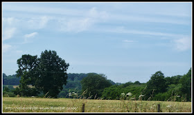 British Summer