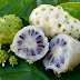 5 Manfaat Buah Pace (Mengkudu)
