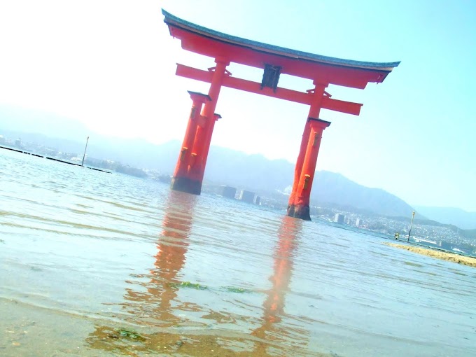 021 #海 #大鳥居 #風景 #神社