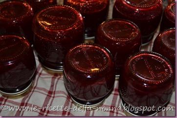 Marmellata di more (13)