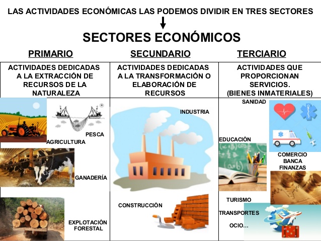 Resultado de imagen de los sectores economicos