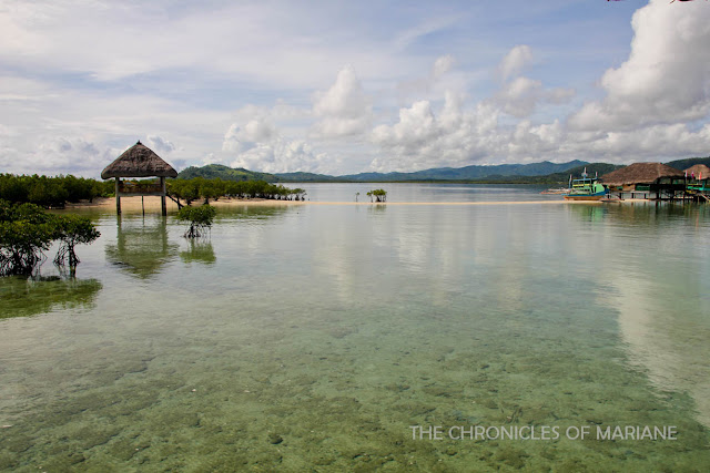 masbate sandbar