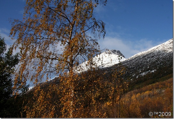 Beisfjordtøtta i vinterdrakt..