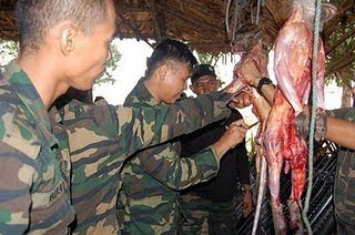 Sadis Tentara Makan Monyet