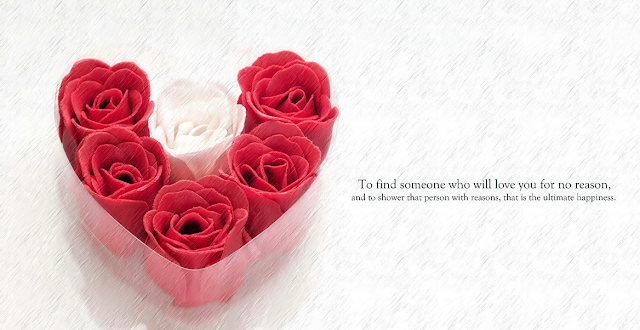 Rose Day Images