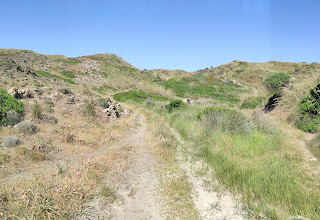 sendero que nos lleva a la playa de Mongofre