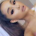 Ariana Grande and Pete Davidson Might Have Just Adopted an Adorable Pet Pig