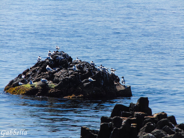 Aci Castello