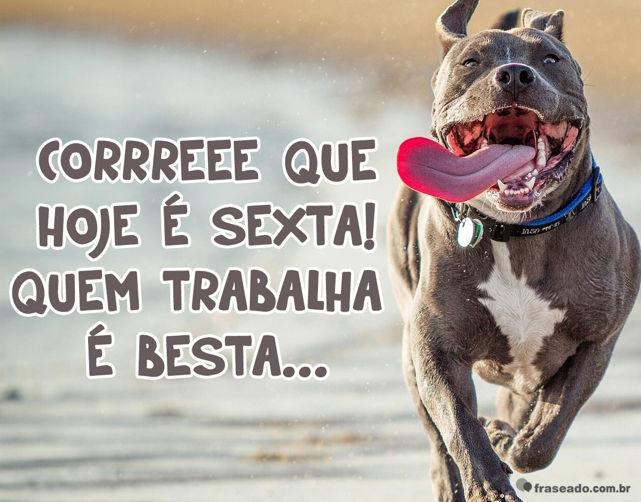 frases para status frases engra§adas frases ta feira