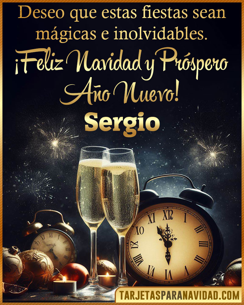 Feliz Navidad y Próspero Año Nuevo Sergio