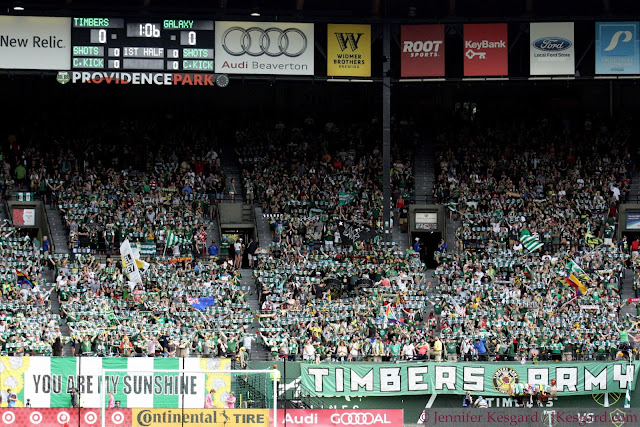 timbers army prematch no pity