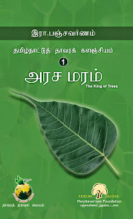 அரசமரம்