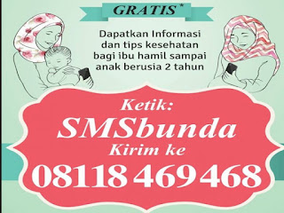 SMS Bunda : Tips Seputar Ibu Hamil Dan Menyusui Gratis