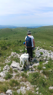 planinarenje, planinarska staza, zeleni obronci, pogled sa Špičastog vrha