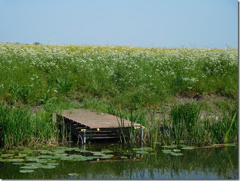 6 the recent floods concealed this bank