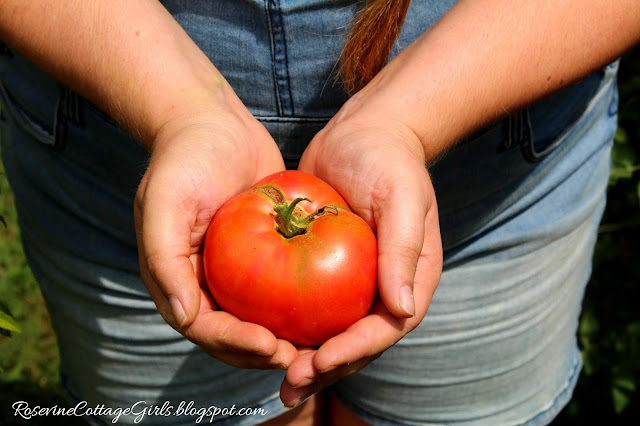 #Garden #GrowYourOwnFood #Chickens #RaisedBeds #OrganicGardening #Tomatoes #Veggies #Overalls #Farmlifestyle #Farm