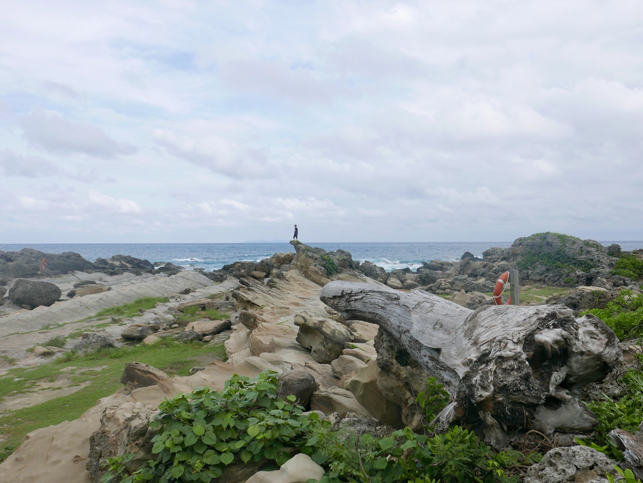 台東市 小野柳
