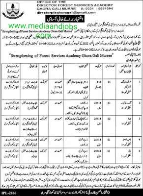 Govt Forest Department Jobs